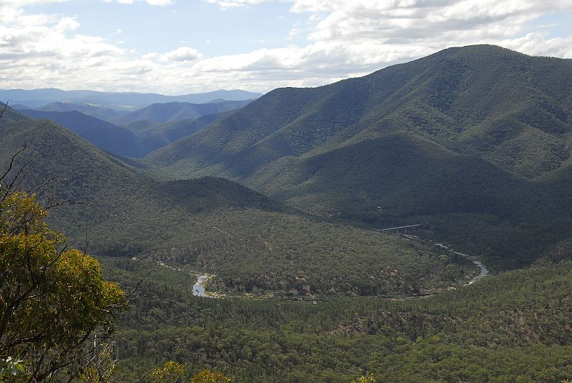 11-Close up of McKil-lops from the Deddick Trail.jpg